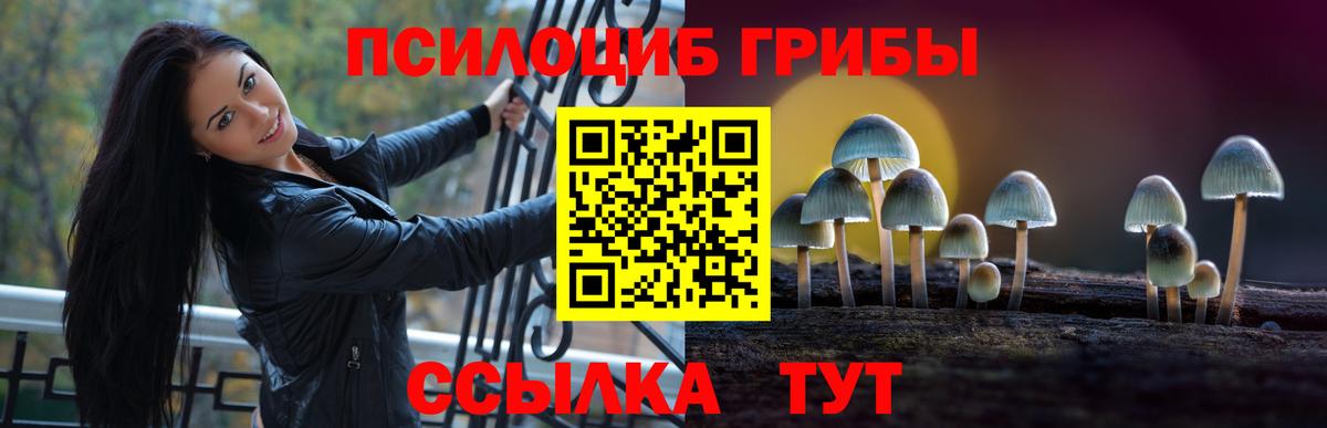 Псилоцибиновые грибы GOLDEN TEACHER Кострома